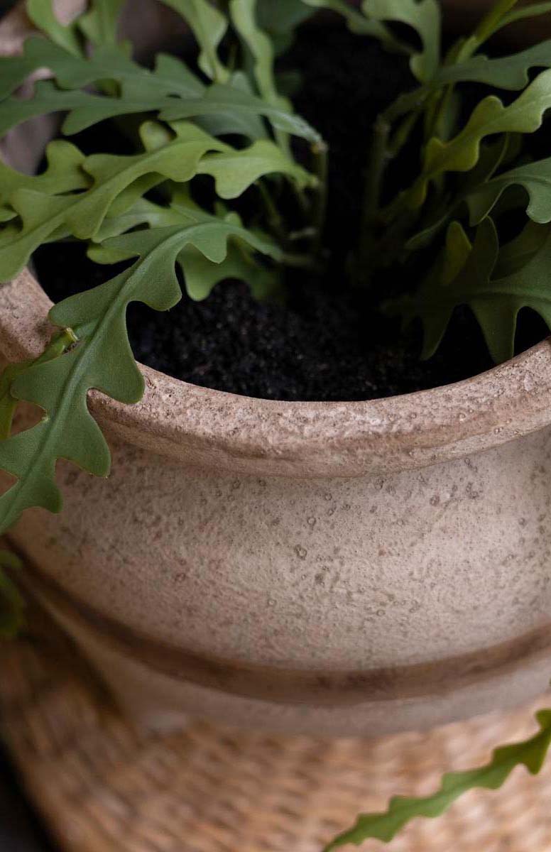 Dune Dweller Planters - Set of 2