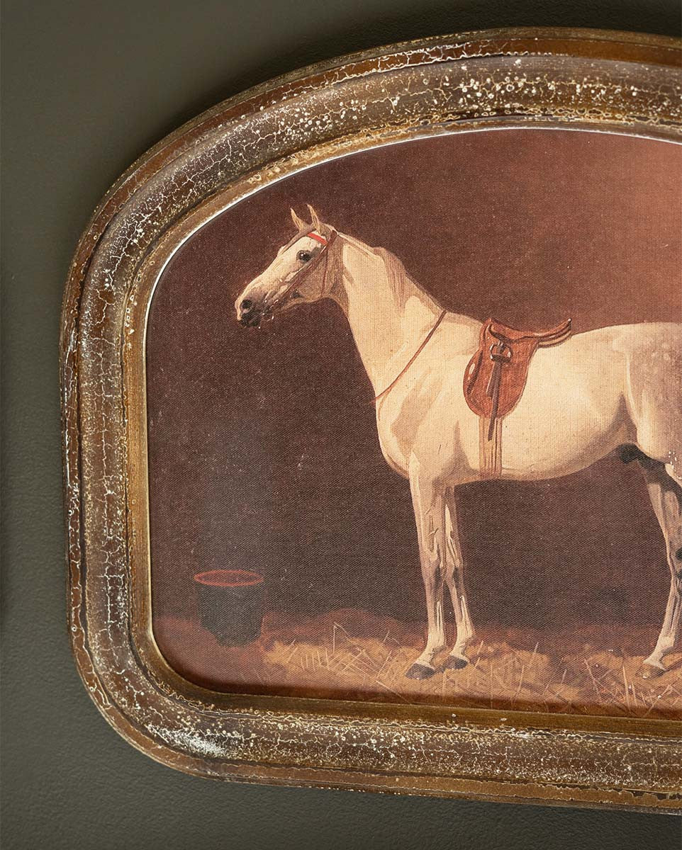 Framed Equine Antique Wall Art - Set of 2