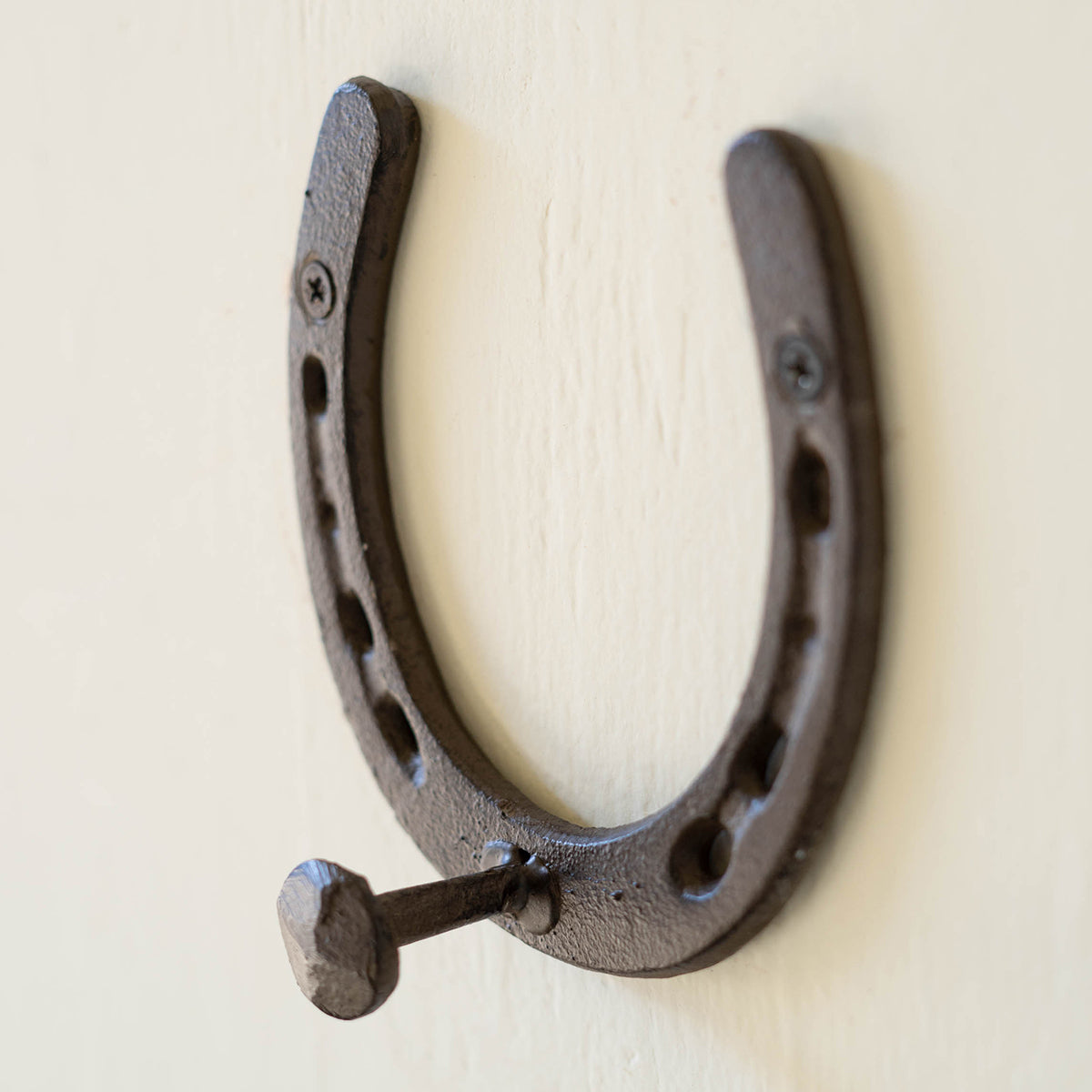 Lucky Horseshoe Wall Hook