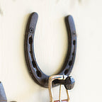Lucky Horseshoe Wall Hook