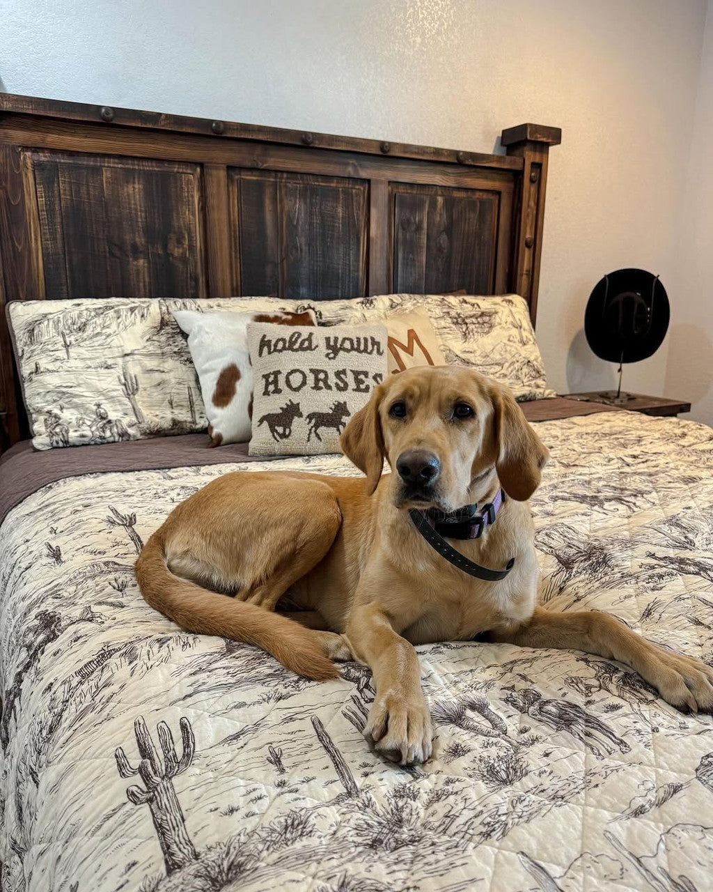 Ranch Hand Toile Western Quilt Bed Set - Queen