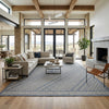 Bluebird Winds Indoor/Outdoor Rug - 4 x 6
