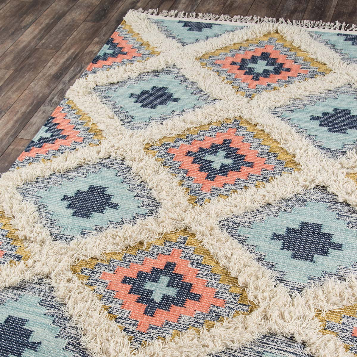 Cactus Chic Rug Collection