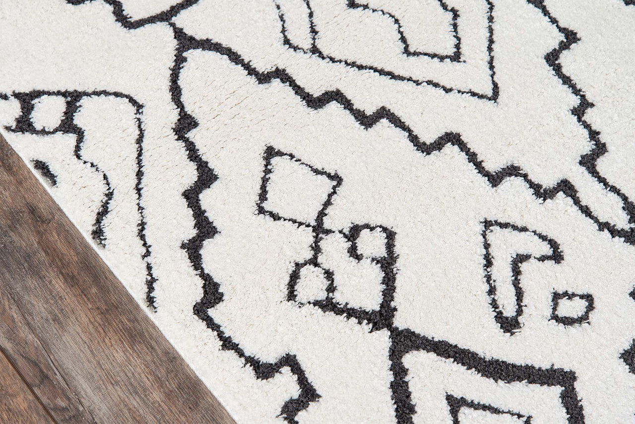 Monochromatic Prairie Rug - 2 x 3