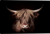 Highland Gold Stretched Canvas