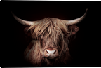 Highland Gold Stretched Canvas