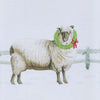 Joyful Sheep Dishtowels - Set of 4