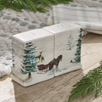 Winter Sleigh Salt & Pepper Set