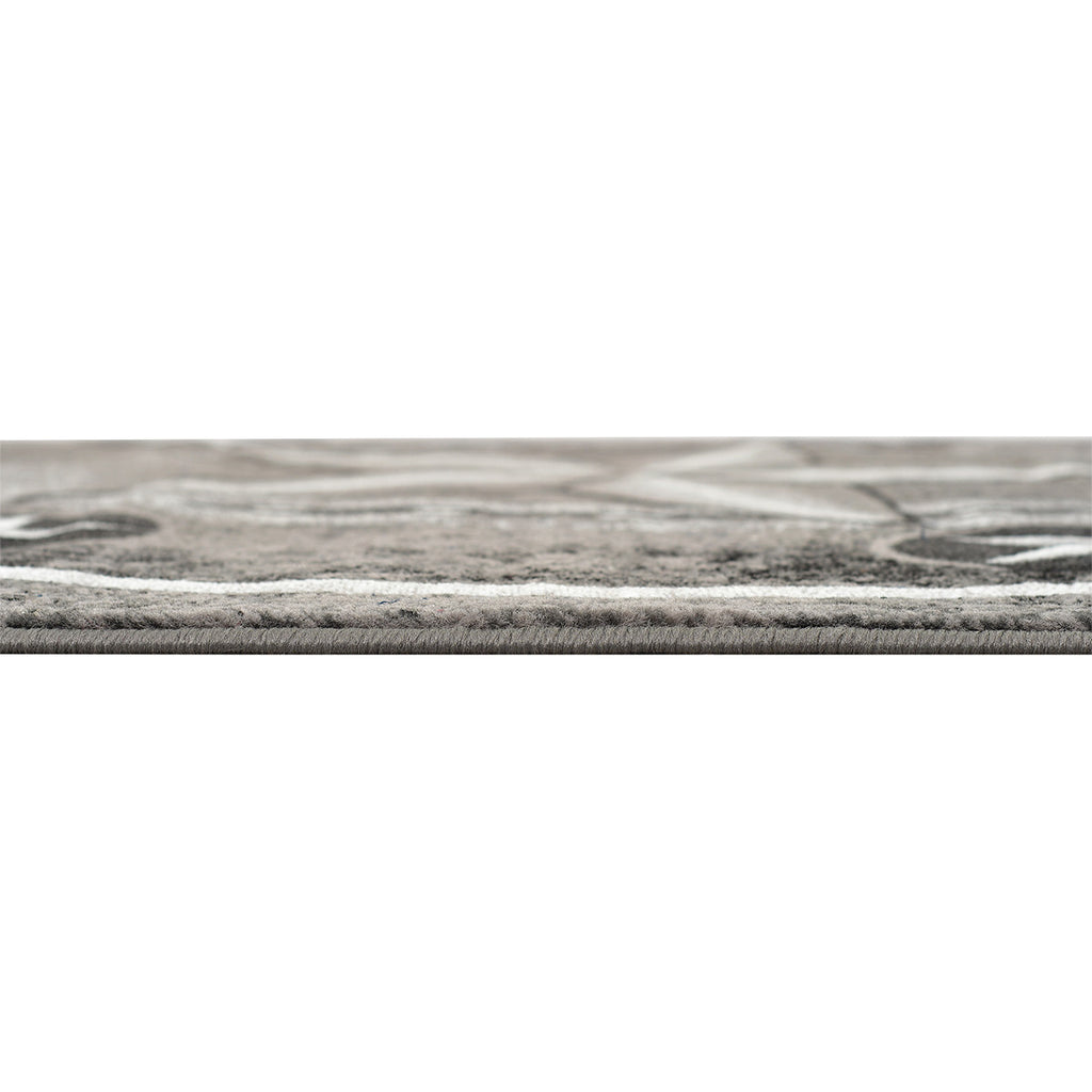 Lonestar Ranch Gray Rug - 2 x 3