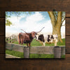 Longhorn Love Personalized Stretched Canvas - Large