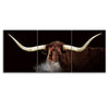Longhorn Stretched Canvas Triptych - Large