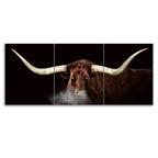Longhorn Stretched Canvas Triptych - Large