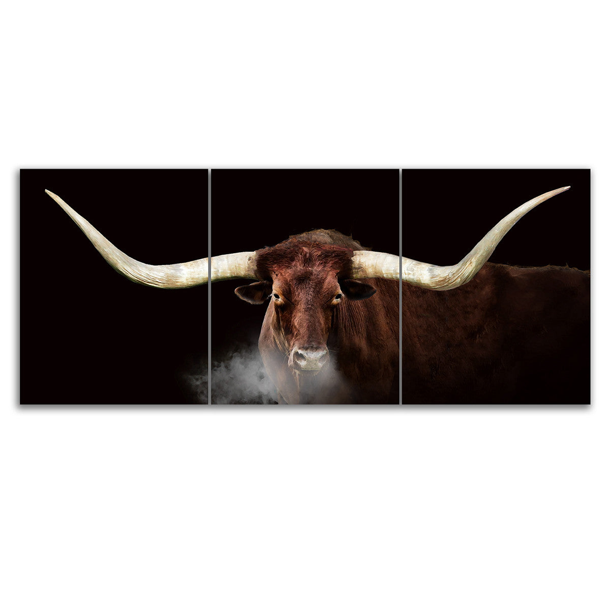 Longhorn Stretched Canvas Triptych - Large