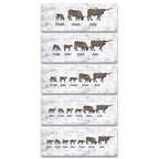 Longhorn Family Personalized Stretched Canvas - Small