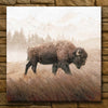 Buffalo Mist Canvas Wall Art