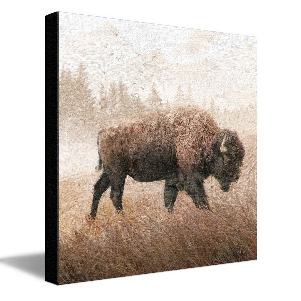 Buffalo Mist Canvas Wall Art