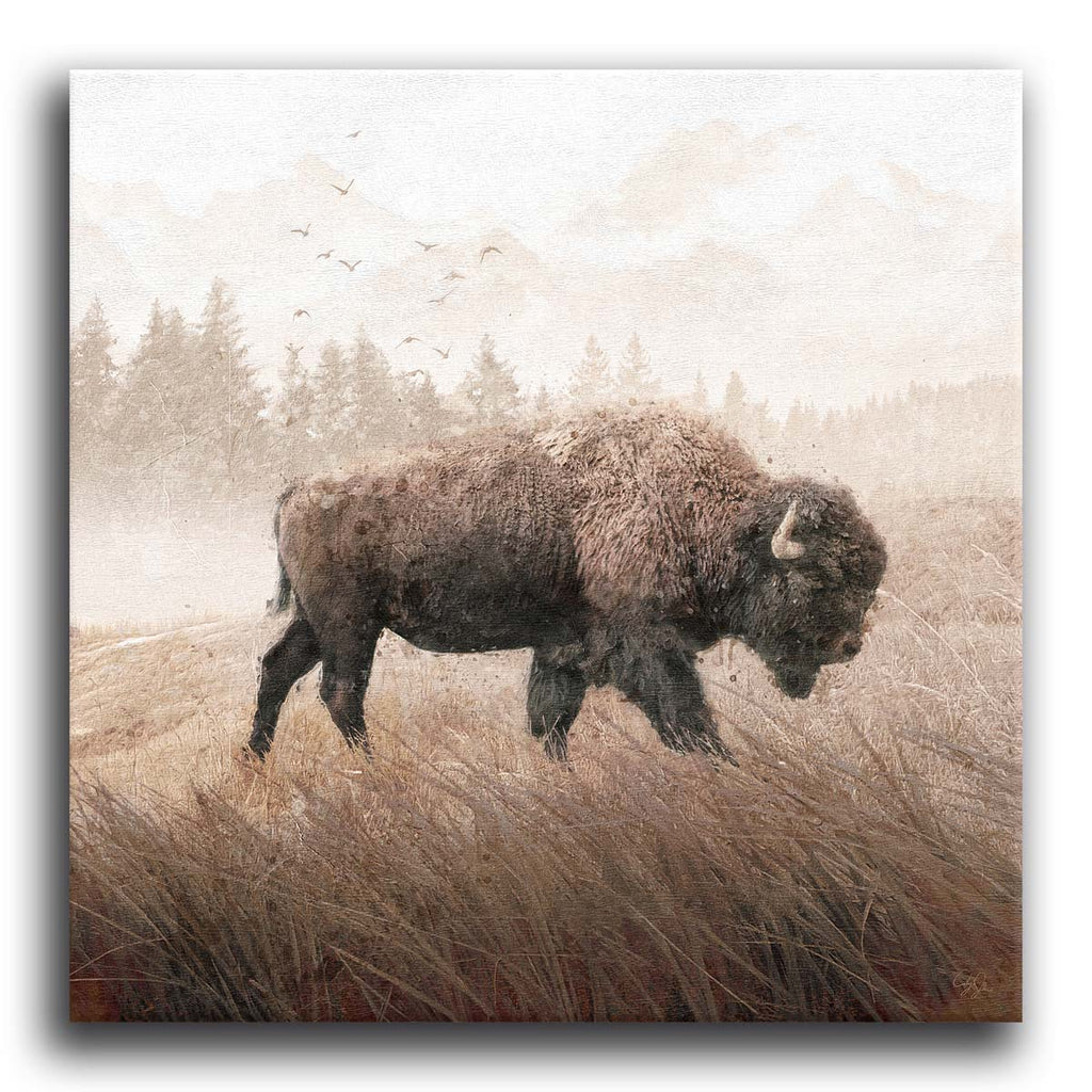 Buffalo Mist Canvas Wall Art