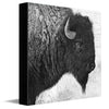 Plains Spirit Canvas Wall Art