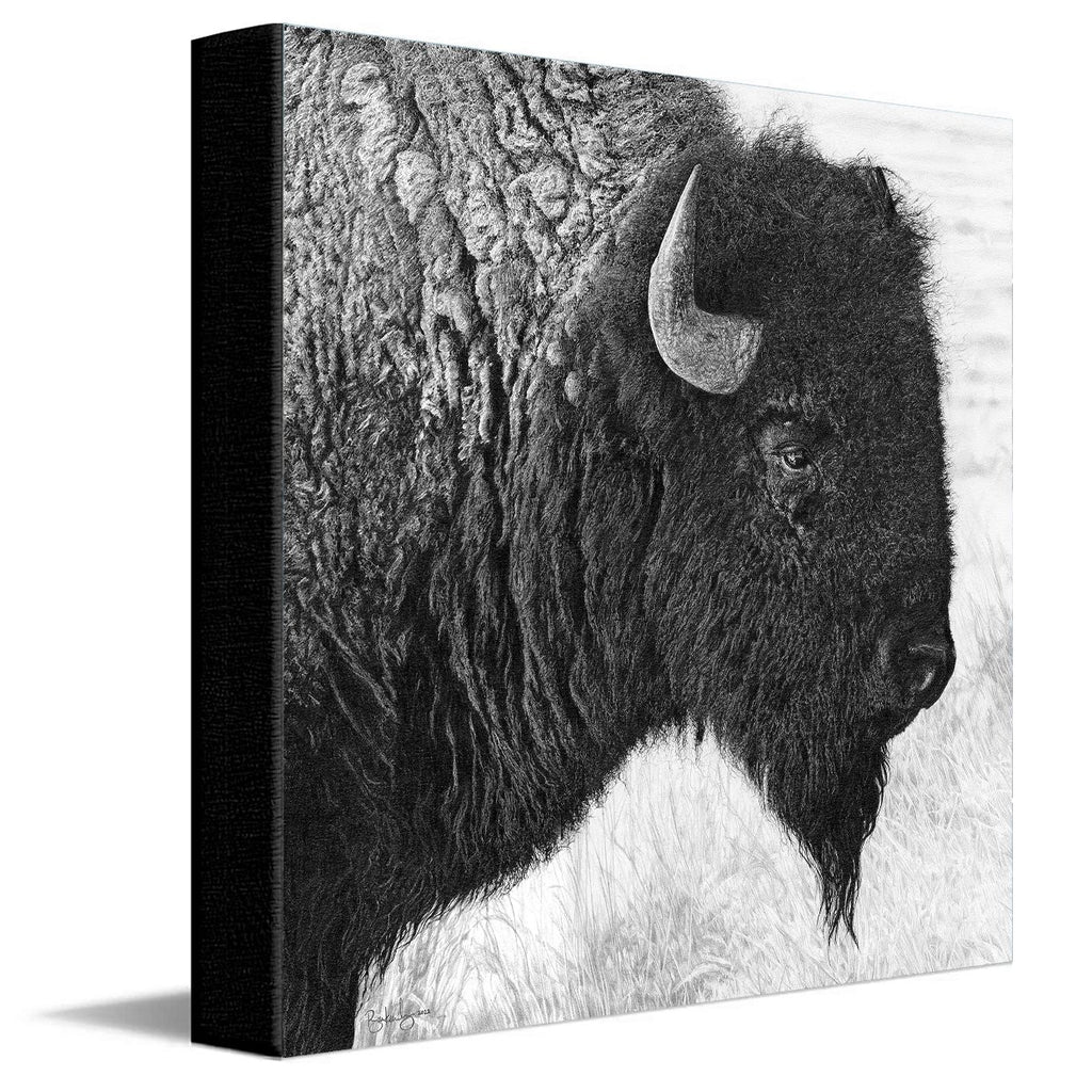 Plains Spirit Canvas Wall Art