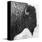 Plains Spirit Canvas Wall Art