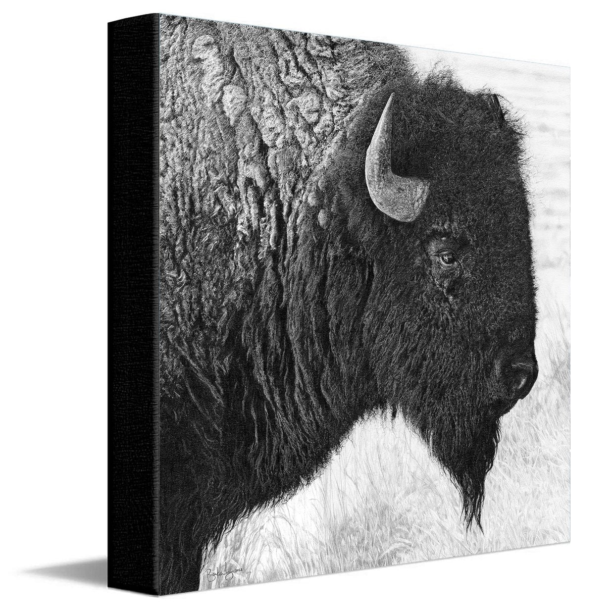Plains Spirit Canvas Wall Art