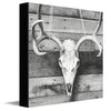 Barnwood Deer Skull Canvas Wall Art