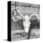 Barnwood Deer Skull Canvas Wall Art