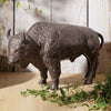 Wandering Buffalo Sculpture