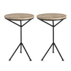Harvey Accent Tables - Set of 2