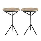 Harvey Accent Tables - Set of 2