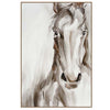 Southwest Stallion Wall Art