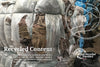 Mustang Canyon III Bed Scarf & Pillow Set - King