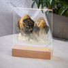 Dusty Bison Night Light