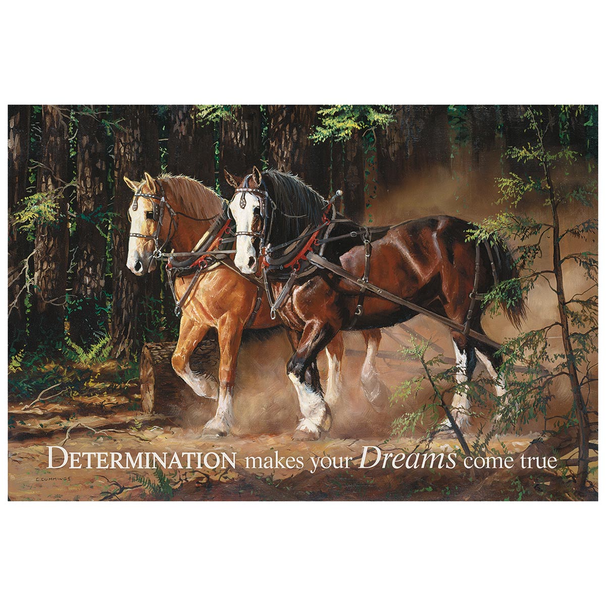 Horse Dreams Wall Sign