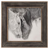 Black and White Horses Framed Print