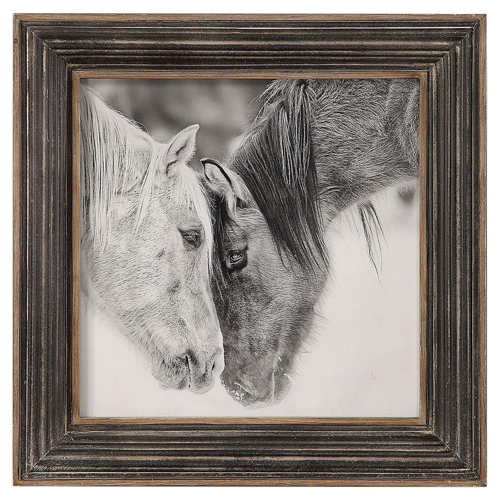 Black and White Horses Framed Print