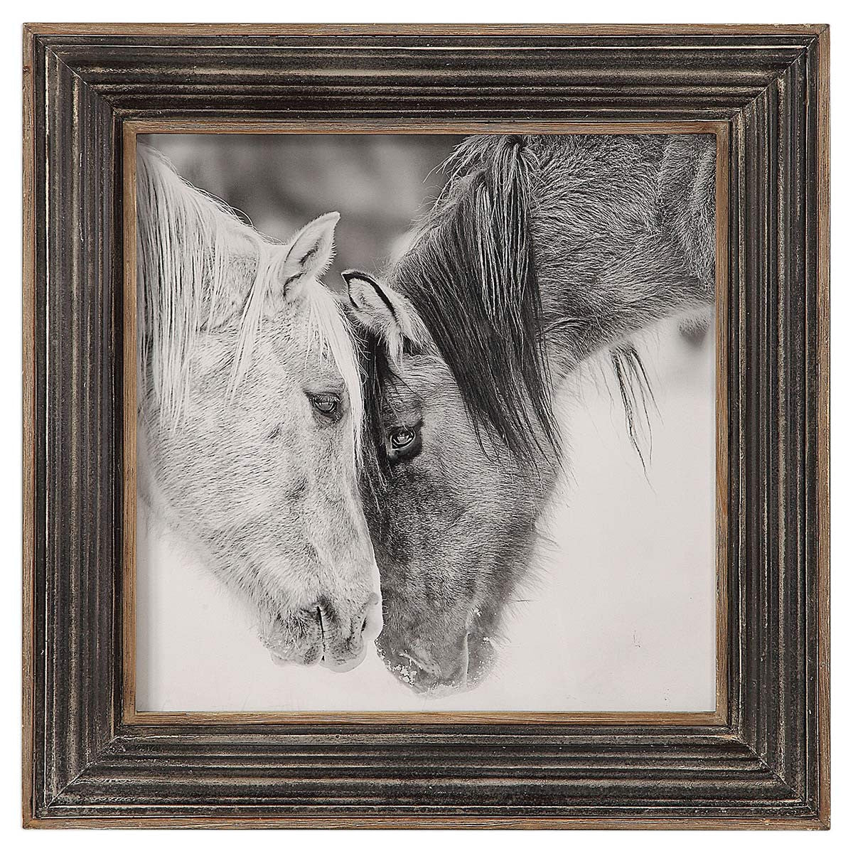Black and White Horses Framed Print