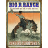 Cowgirls Rule Personalized Sign - 28 x 38