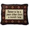 Southwest Year Older Pillow Cover
