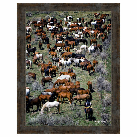 Where's Waldo Framed Canvas