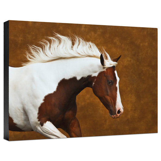 My Little Bella Gallery Wrapped Canvas
