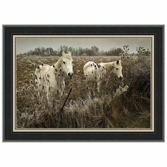 White Horses Framed Print