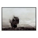Bison Spirit Wall Art