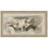 Old Acquaintances Framed Print