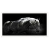 Bonnie Portrait Framed Print