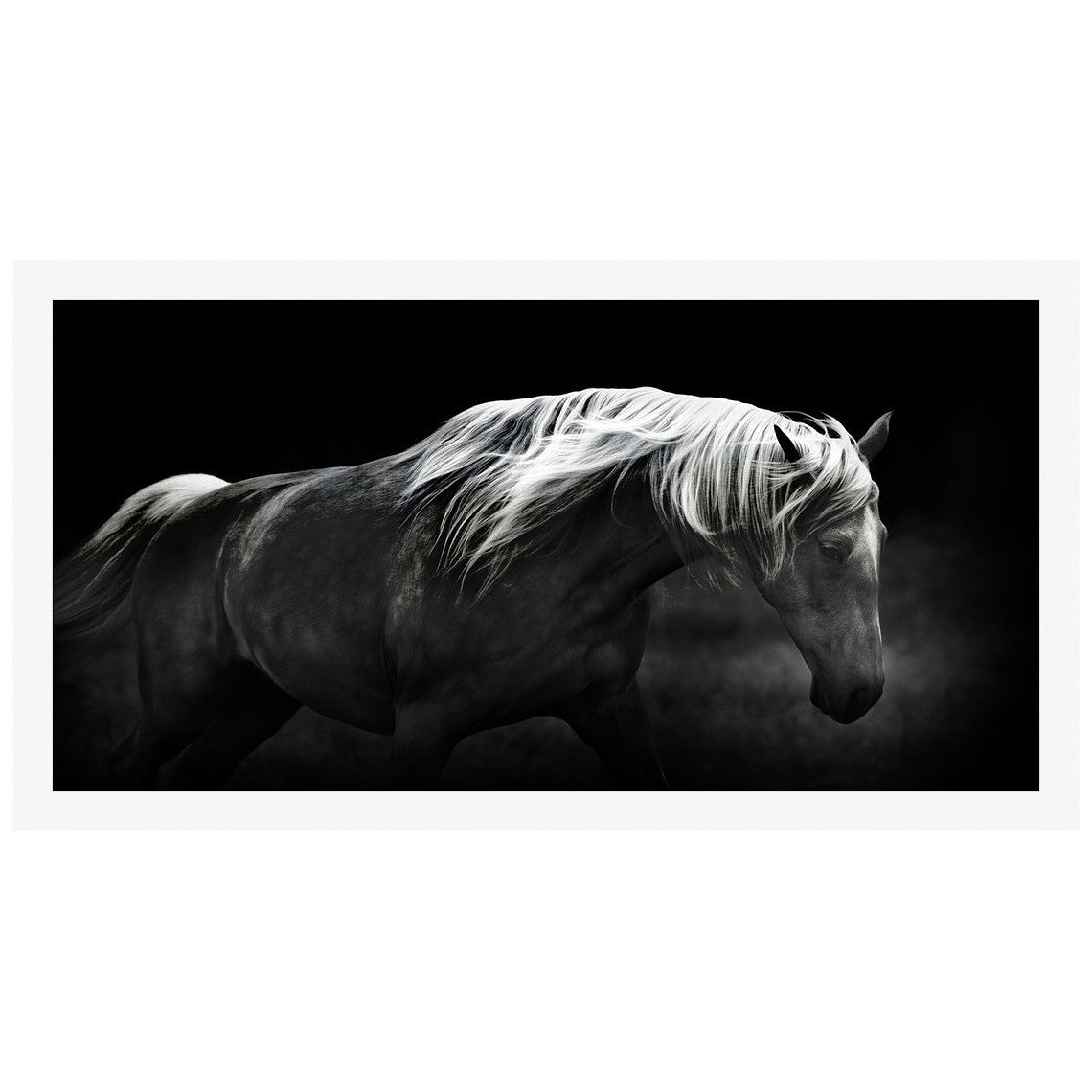 Bonnie Portrait Framed Print