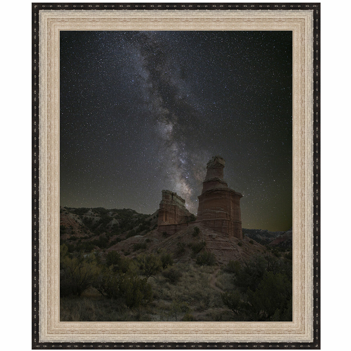 Desert Stars Canvas Art