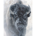 The Storyteller II Limited Edition Print