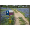 Bluebonnet Road Framed Art