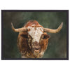 Solemn Texas Longhorn Wall Art